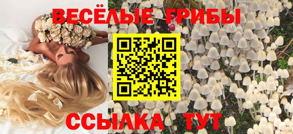 Галлюциногенные грибы Magic Shrooms Усть-Джегута