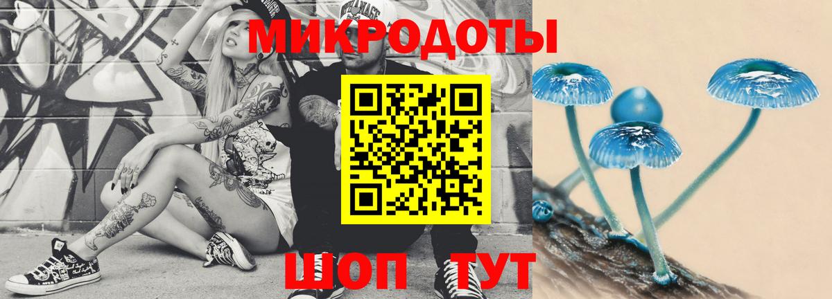 Усть-Джегута  закладка  Вход с VPN  Псилоцибиновые грибы прущие грибы 